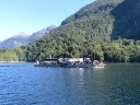 fjordland (25)